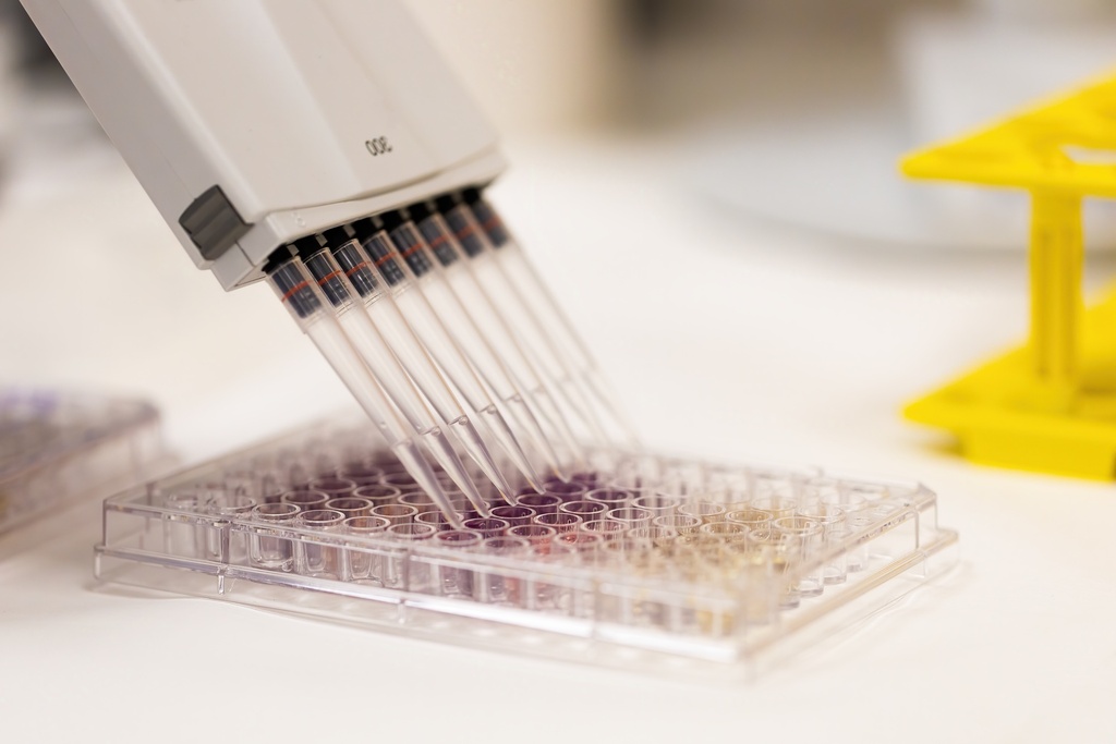 Armadillo PCR Plate, Transcription , 96-Well  Clear Frame, White Wells - 25 Plates