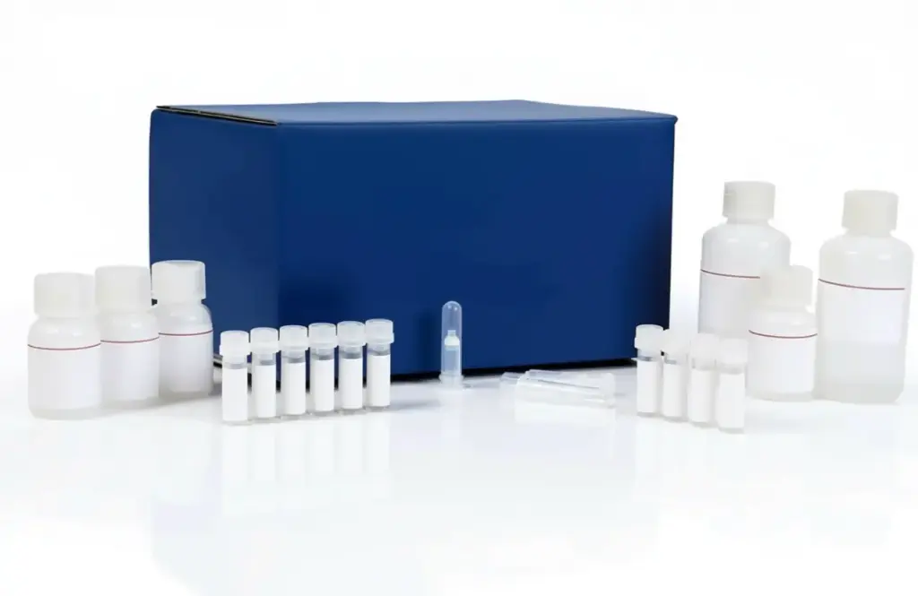  LDH Assay Kit (Cytotoxicity)