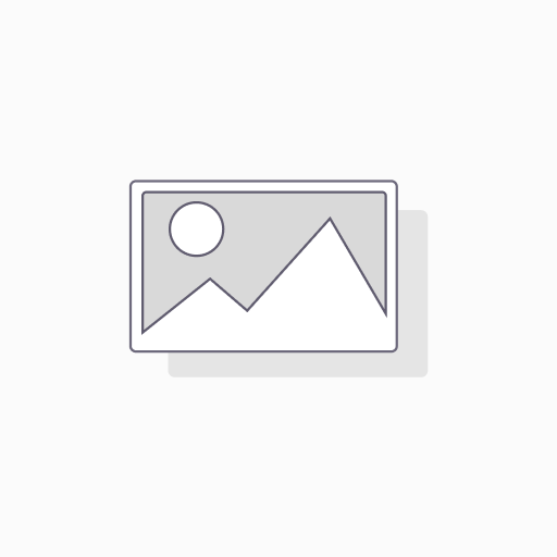 2XMyc-LRRK2-WT - 2ug